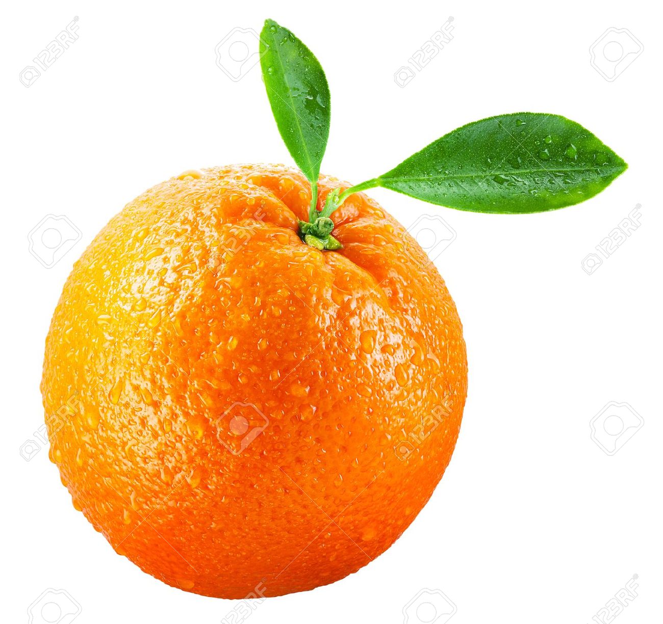 پرتقال والسنیا